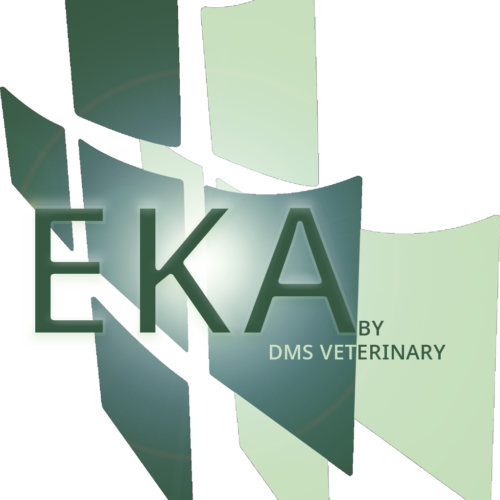 EKA Extension Sets