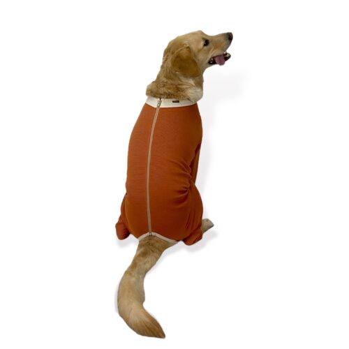 Luna & Milo Copper Body Shirt with 4-Legs - Image 4