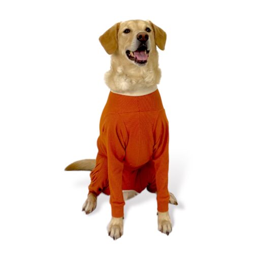 Luna & Milo Copper Body Shirt with 4-Legs - Image 2