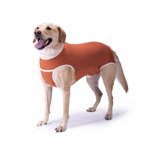 Luna and Milo - Copper Body Post operative shirts